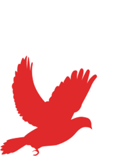 向党旗报告<strong></p>
<p>康复疗养</strong>！——天津康复疗养中心隆重举行先进事迹情景报告会:康复疗养